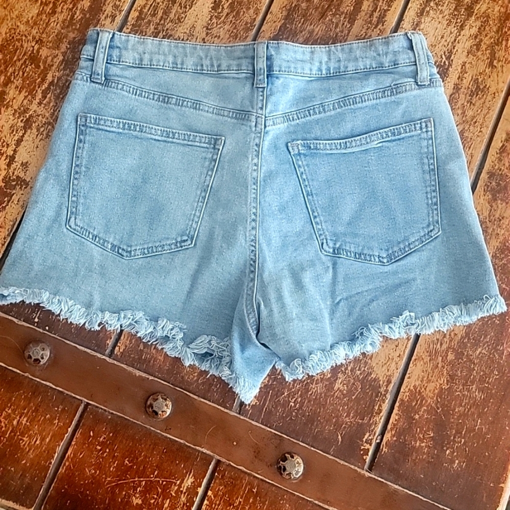 No Boundaries shorts size 15